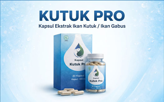 Kapsul Kutuk Pro Albumin